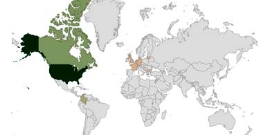 En dnde hostean sus sitios los argentinos?