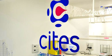 CITES Incubar a emprendedores en TICs