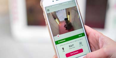 DogSpot, la app para dejar a tu mascota mientras te vas de compras