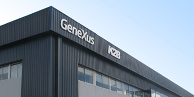 GeneXus: 