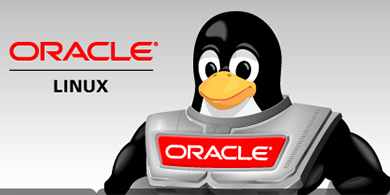 Oracle lanz su versin de Linux 6.5