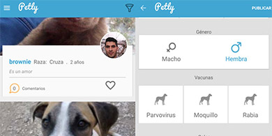 Petly: Cmo es la app mexicana para adoptar mascotas?