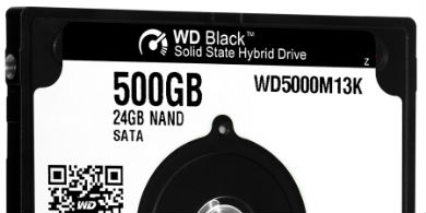 WD y SanDisk combinan sus tecnologas flash y solid state