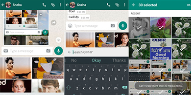 Al fin! WhatsApp permite buscar GIF a travs de Giphy